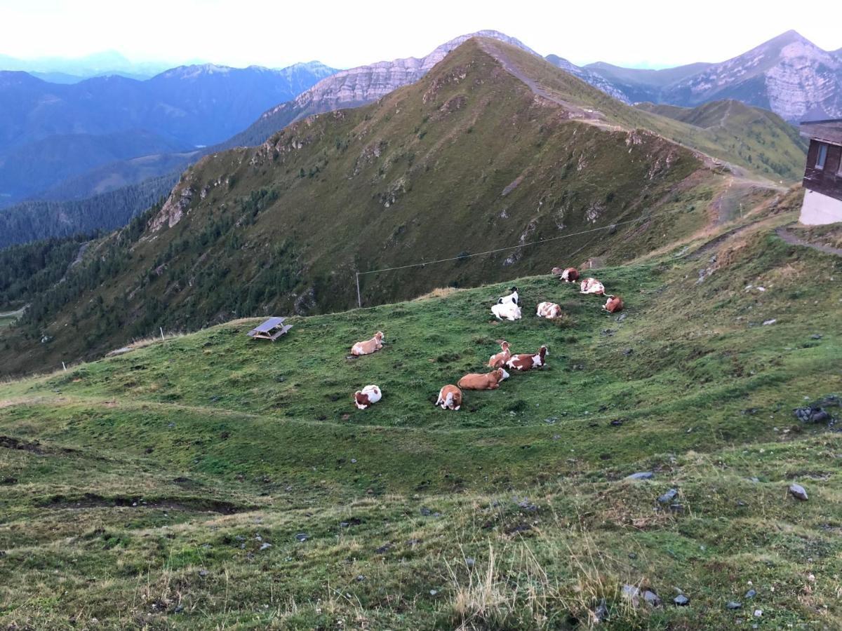 Apartmán Haus Mup Spittal an der Drau Exteriér fotografie